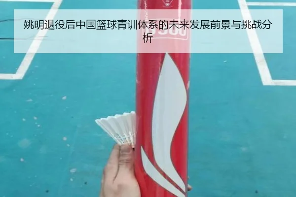 姚明退役后中国篮球青训体系的未来发展前景与挑战分析（FIFA WorldCup）